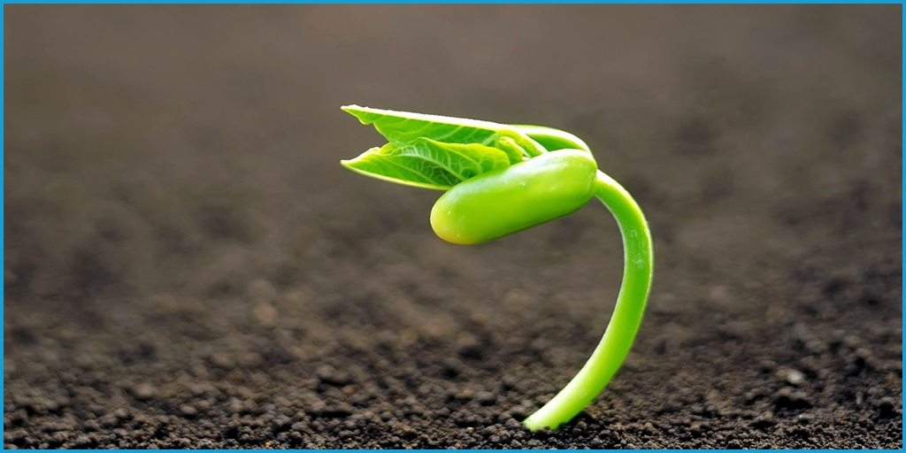 Why a 24-7 Answering Service Is Essential for a Growing Business